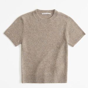 COPY - Abercrombie & Fitch crew sweater tee taupe L NWT